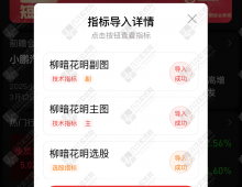 【柳暗花明】前面主力介入，回调充分洗盘，洗掉散筹，迎来春暖花开柳暗花明买点，胜率高，利润大