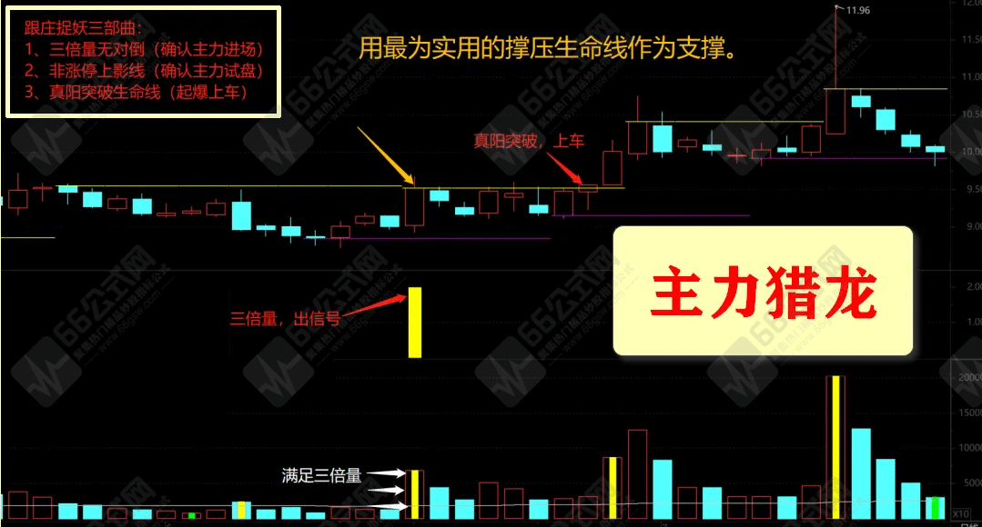 主力猎龙套装 解锁赢利之匙，探讨倍量之秘，找寻起爆之由 （主图 副图 选股） ...